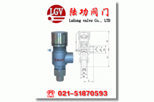 A21H弹簧微启式外螺纹安全阀