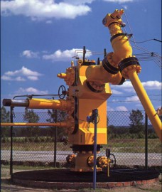 API6A Wellhead